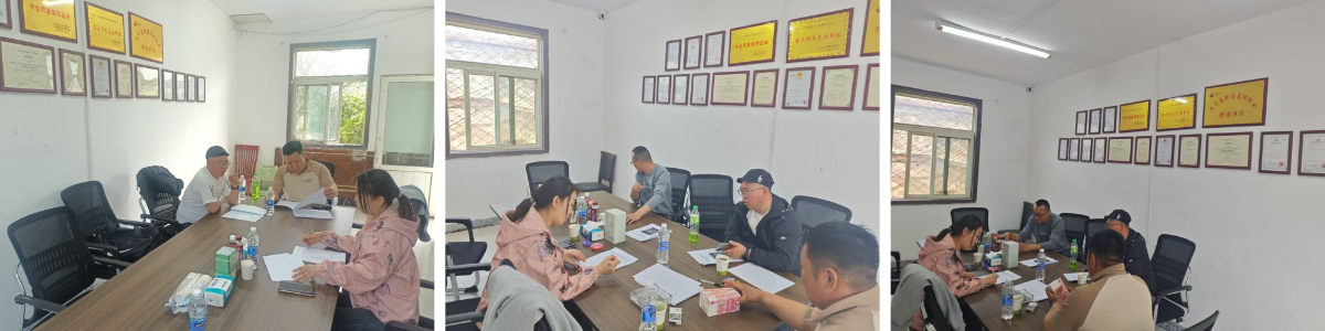 Pelanggan Mongolia Memesan Kendaraan Roda Empat dan Forklift Listrik di Lokasi Kereide Pelanggan Mongolia Memesan Kendaraan Roda Empat dan Forklift Listrik di Lokasi Kereide